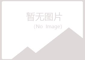 兴山区冰兰咨询有限公司